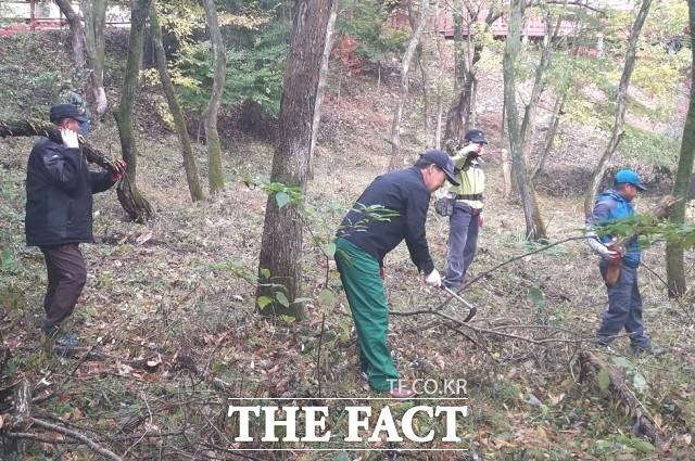 정읍시는 공공부문 일자리를 마련해 민간일자리 진입이 어려운 취업 취약계층을 대상으로 근로자를 모집했다고 8일 빍혔다. /정읍시 제공