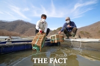  임실군, 빙어 수정란 이식사업 추진…옥정호 서식