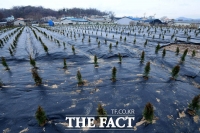  수사권 없는 수사팀…검찰, 'LH 사건' 부동산투기 수사전담팀 구성