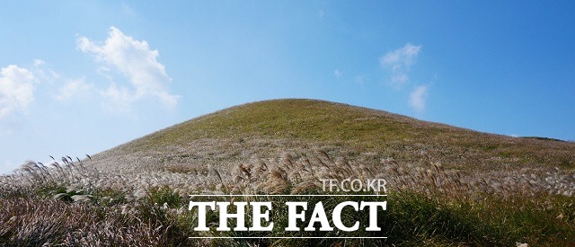 제주시는 오는 13일 저녁 열리는 새별오름 불놓기 행사가 실시간 유튜브 스트리밍을 통해 도내는 물론 전 세계에 중계된다고 밝혔다. / 제주시 제공