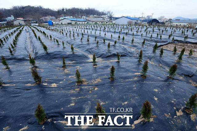 경기남부경찰청은 11일 부동산 투기사범 특별수사대를 편성해 운영한다고 밝혔다. /국회사진취재단