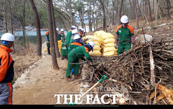 보성군은 오봉산 해평호수변에 둘레길을 내고 사계절 꽃이 지지않는 경관숲까지 조성하는 등 힐링산채로를 조성하고 있다. /보성군 제공