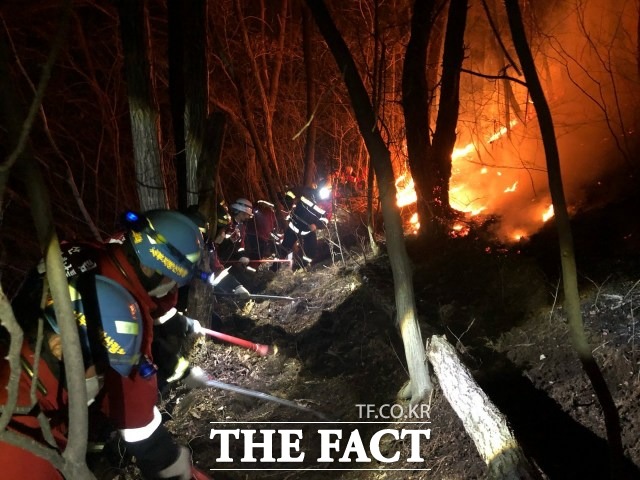 서부지방산림청이 오는 13일부터 4월 18일까지 한달간을 산불예방 및 방지를 위한 대형산불 특별대책 기간으로 정했다고 12일 밝혔다. /서부지방산림청 제공