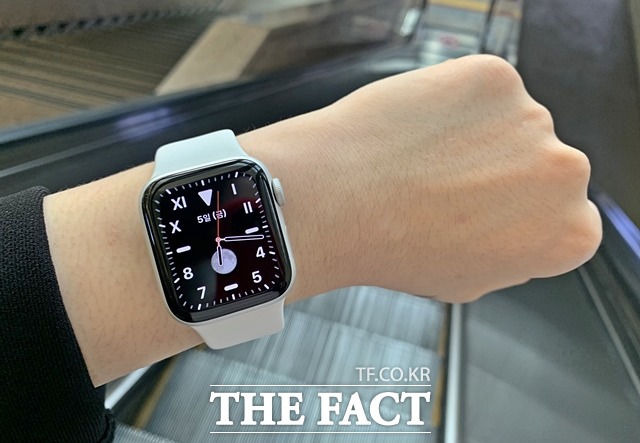 카운터포인트리서치에 따르면 애플워치(사진)을 판매하는 애플이 지난해 3390만 대의 스마트워치를 출하하며 스마트워치 판매량 전 세계 1위 브랜드에 올랐다. 화웨이와 삼성전자, 비비케이전자, 핏비트가 뒤를 이었다. /더팩트 DB
