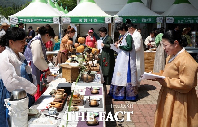 하동야생차문화축제 모습. /하동군 제공