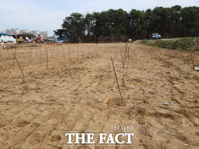 공공주택 개발 예정지인 광주 산정지구에 있는 농경지에 최근 이식한 것으로 추정되는 묘목들이 빼곡하게 심어져있다./더팩트 DB