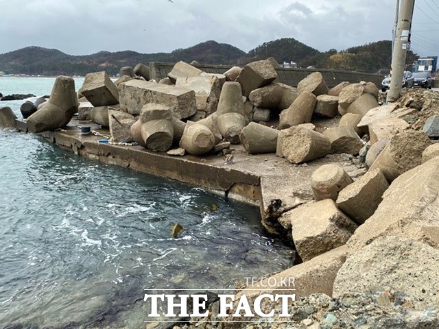 포항시 장기면 신창리 바닷가에 파손된 채 무더기로 쌓여 있는 테트라포드/대한환경실천연합 제공