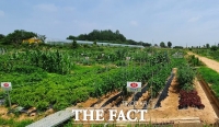  익산시, 힐링·가족체험 공간 '주말가족농장' 인기몰이