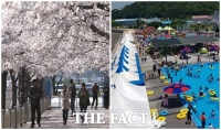  군산시, 벚꽃 먹거리장터·야외수영장 운영 전면취소