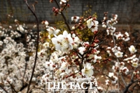  [오늘의 날씨] 서울 아침 기온 2도 '쌀쌀', 낮 기온 11도↑