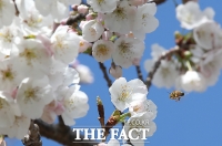  [오늘의 날씨] 서울 낮기온 19도...기분좋은 봄날