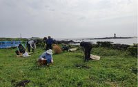  제주시, 생태계교란 생물 퇴치사업 추진