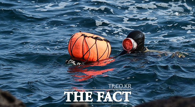 제주시는 올해 처음으로 시행중인 ‘경영이양 직접직불제 사업’을 적극 활용해 신규해녀 양성에 박차를 다해 나갈 계획이라고 29일 밝혔다./제주시 제공