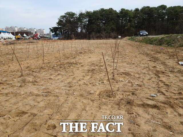 정부합동조사는 물론 전국 단위에서 공직자 부동산 투기 의혹 조사를 위해 지자체와 경찰, 지방의회 등 지역 정치권이 전방위적으로 협력하고 있는 가운데 광주시와 광주시의회는 지나치게 안일하게 대응하고 있다는 지적이 제기되고 있다. 사진은 국토부 제3기 신규 공공주택 공급 예정지인 광주 광산구 산정지구 농경지에 묘목들이 빼곡하게 심어져있는 모습./더팩트 DB