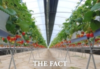  정읍시 '농약 대신 천적으로 해충 박멸하세요'