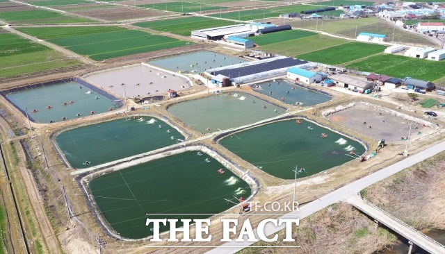 정읍시 관계자는 “이번 지원이 코로나19로 힘겨운 시간을 보내고 있는 양식어가들에게 조금이나마 도움이 되기를 바란다”고 밝혔다. / 정읍시 제공