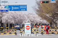  '올해도 벚꽃 구경은 어려워요'...전면 통제된 윤중로[TF사진관]
