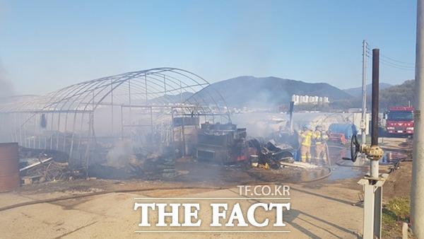대구 달성군에 위치한 한 농가 비닐하우스에서 화재가 발생해 소방대원들이 진화하고 있다./대구소방안전본부 제공