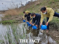  보성군, 벌교 칠동천 등지에 은어 치어 8만 마리 방류