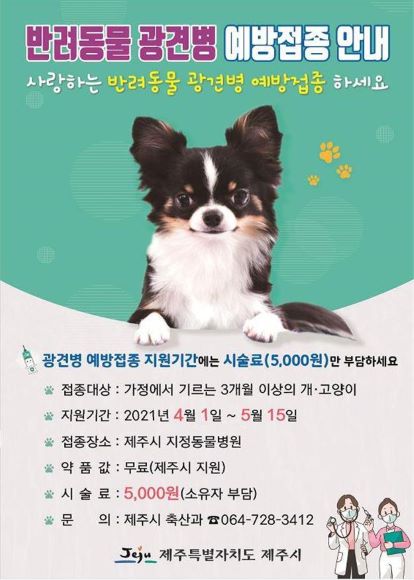 제주시가 반려동물의 광견병 예방과 시민의 안전을 위해 5월 15일까지 3개월 이상이 된 반려동물에 대한 광견병 예방접종을 지원한다고 6일 밝혔다. / 제주시 제공