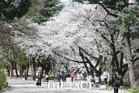  [오늘의 날씨] 아침 쌀쌀·한낮 포근…큰 일교차 유의