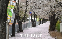  [오늘의 날씨] 맑고 건조한 토요일…일교차 15도