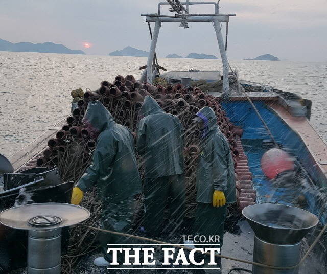 여수시가 타우린이 풍부하고 특유의 쫄깃한 식감으로 대표적인 인기 수산물인 참문어의 산란‧서식장 조성사업에 5년간 총 50억 원을 투입한다. /여수시 제공