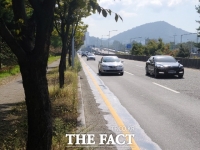  용인시 도로 제한속도 시속 50㎞…17일부터 단속