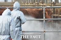  충북도, 내년까지 ‘깨끗한 축산농장’ 450곳 지정