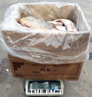  정읍시, 생태계 교란 외래어종 수매로 생태계 보호