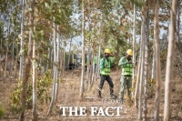  애플, 탄소중립 위해 '2000억 펀드' 조성…'우리가 모범 될 것'