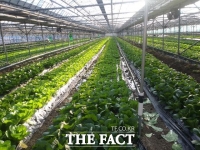  전주시, 친환경농업직불금 30일까지 접수…최대 120만 원 지원