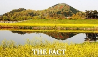  함평천에 비친 노란 유채와 나비동산[TF사진관]