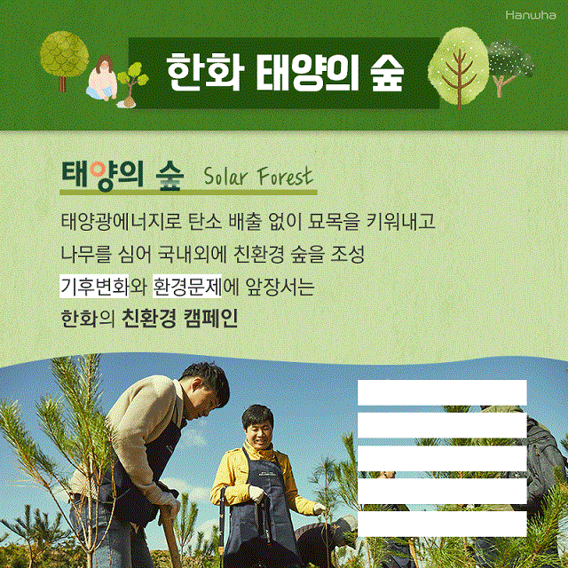 한화그룹은 한화 태양의 숲 프로젝트를 통해 지난 2011년부터 중국, 한국 등에 지금까지 총 7개의 숲을 조성, 약 133만㎡의 면적에 약 50만 그루의 나무를 심었다. /한화그룹 제공