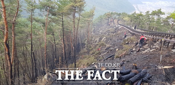 문경 단산모노레일 인근 야산에서 불이 재발해 소방과 행정당국이 진압 후 마무리 작업을 하고 있다./산림청 제공