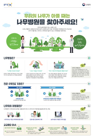 나무의사 안내 정보 그림/ 산림청 제공