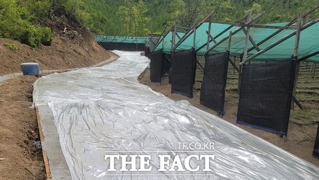 충북 괴산군 괴산읍 신항2리 인삼밭 농로 포장사업을 두고 특혜 논란이 일고 있다. / 장동열 기자