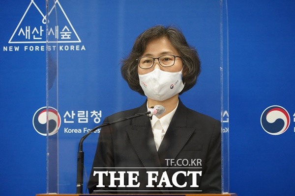 이미라 산림청 산림산업정책국장이 29일 정부대전청사 브리핑룸에서 기자회견을 갖고 있다. / 산림청 제공