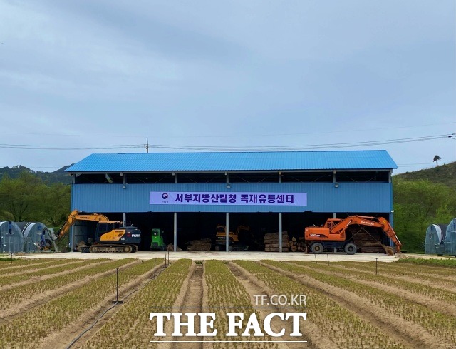 서부지방산림청은 유용활엽수 8종, 299개 원목을 공개 매각 한다고 30일 밝혔다. /서부지방산림청 제공