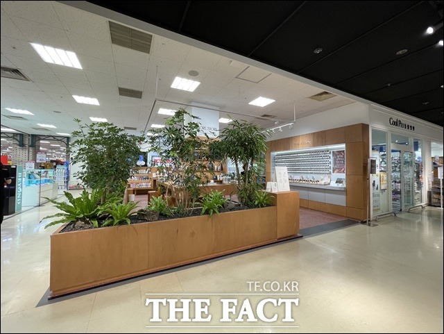아모레퍼시픽은 아모레스토어 헤어&바디 매장 입구에 식물을 심어 환경친화적인 요소를 더했다. /문수연 기자