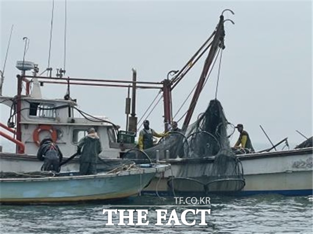 전북 군산시는 수산자원의 보호와 어업질서 확립을 위해 관내에 불법으로 설치된 어구에 대한 행정대집행을 실시하고 있다. /군산시 제공
