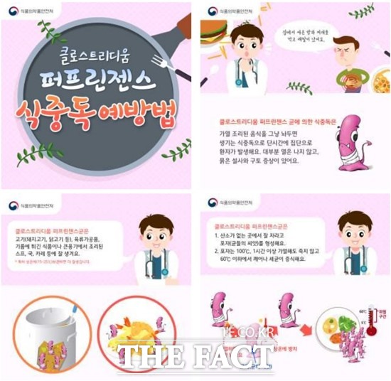 최근 5년간(2016~2020) 퍼프린젠스 식중독 발생 현황을 보면 총 46건, 1584명의 식중독 환자가 발생했다. 계절별로는 발생 환자의 48.7%인 771명(24건 52.1%)이 3~5월에 발생했다. /식약처 제공