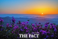  광양시, '꽃 지도 들고 떠나는 광양여행' 소개