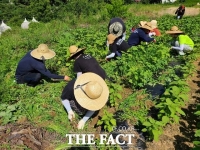  '산촌에 살고파'... 산림청, 5월부터 귀산촌 교육