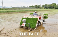  김제시농업기술센터 '품종별 모내기 최적기 놓치지 마세요'