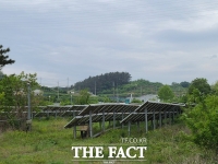  경주시가 행정소송 패소한 태양광 사업...한전 경주지사의 사업자 특혜의혹?