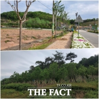  임실치즈테마파크, 명품 가로수길 새 단장