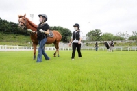  한국마사회 제주지역본부, 신규 마주 모집
