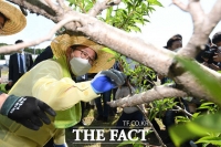  박범계 장관, '농촌 일손돕기' 자원봉사