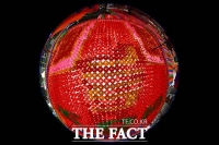  '이틀 앞으로 다가온 부처님 오신날'...조계사 수놓은 연등 [TF사진관]